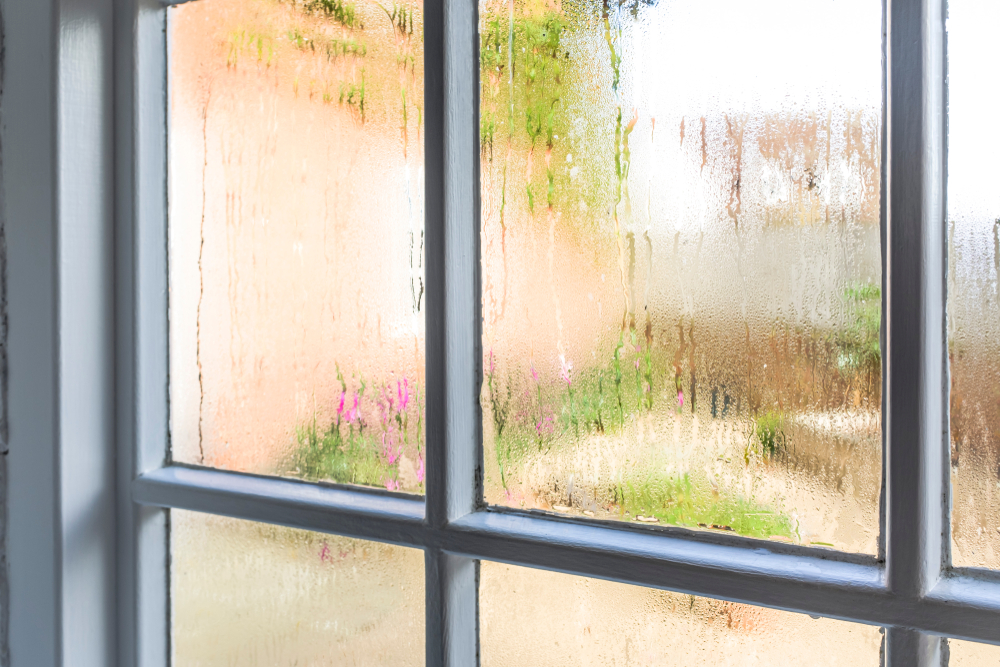 mould and condensation windows