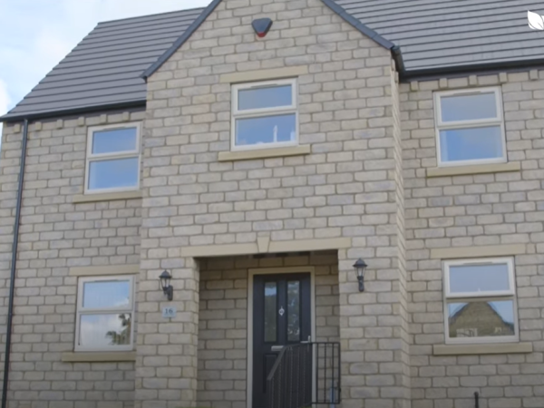 liniar windows and doors