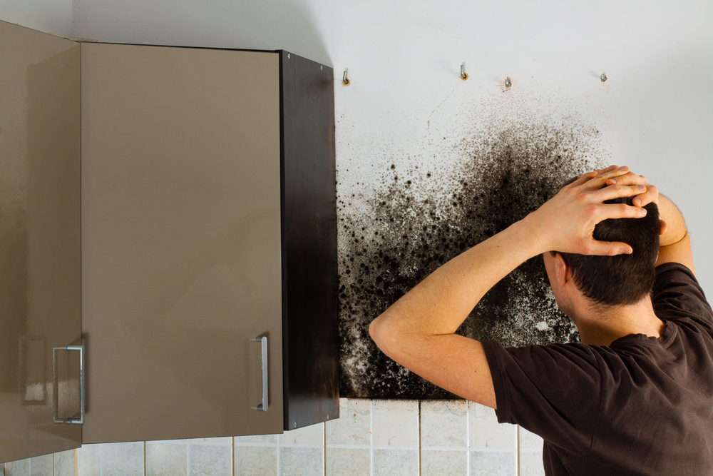 how to prevent mould