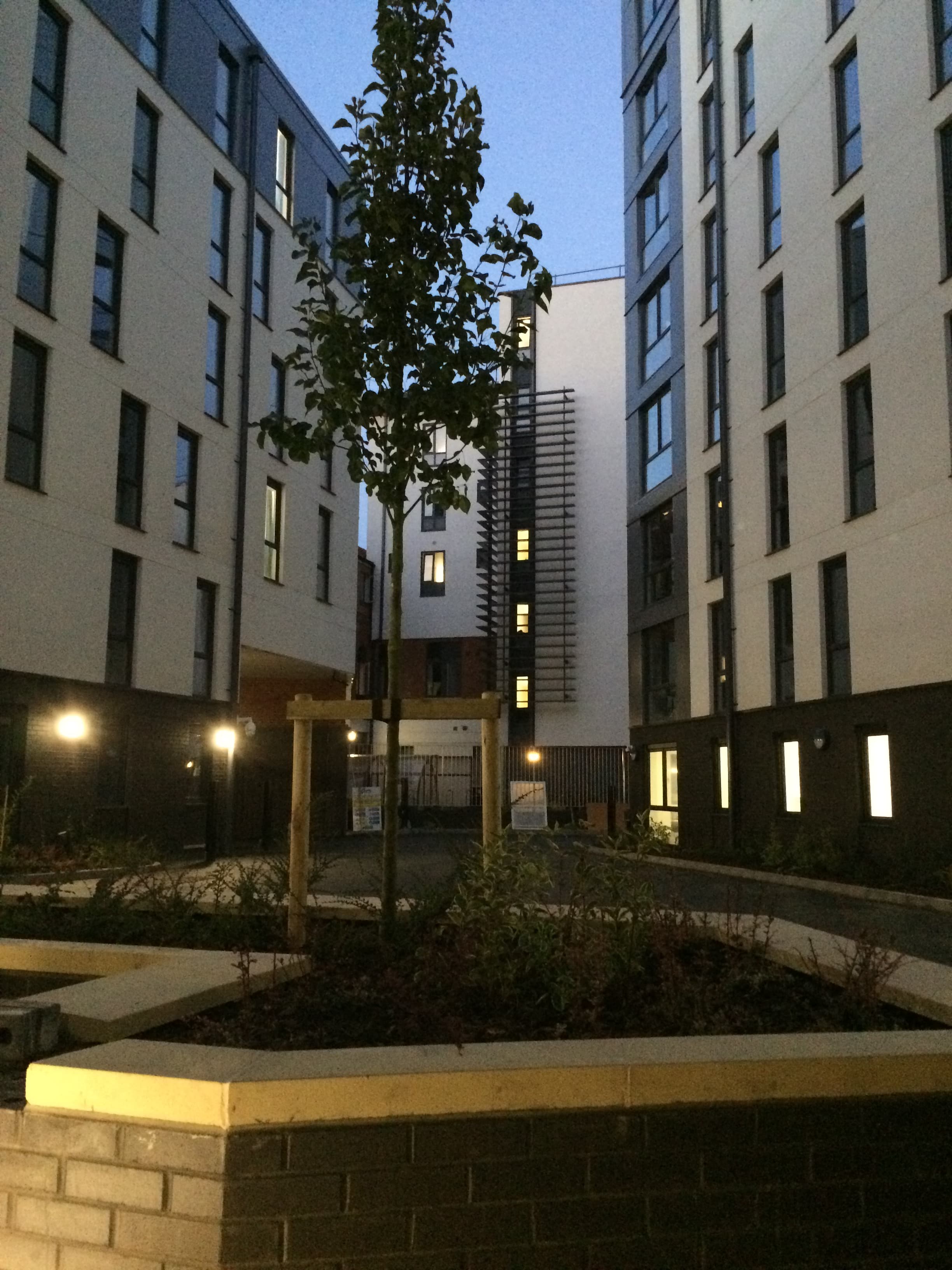 newly replaced windows of a multistory building