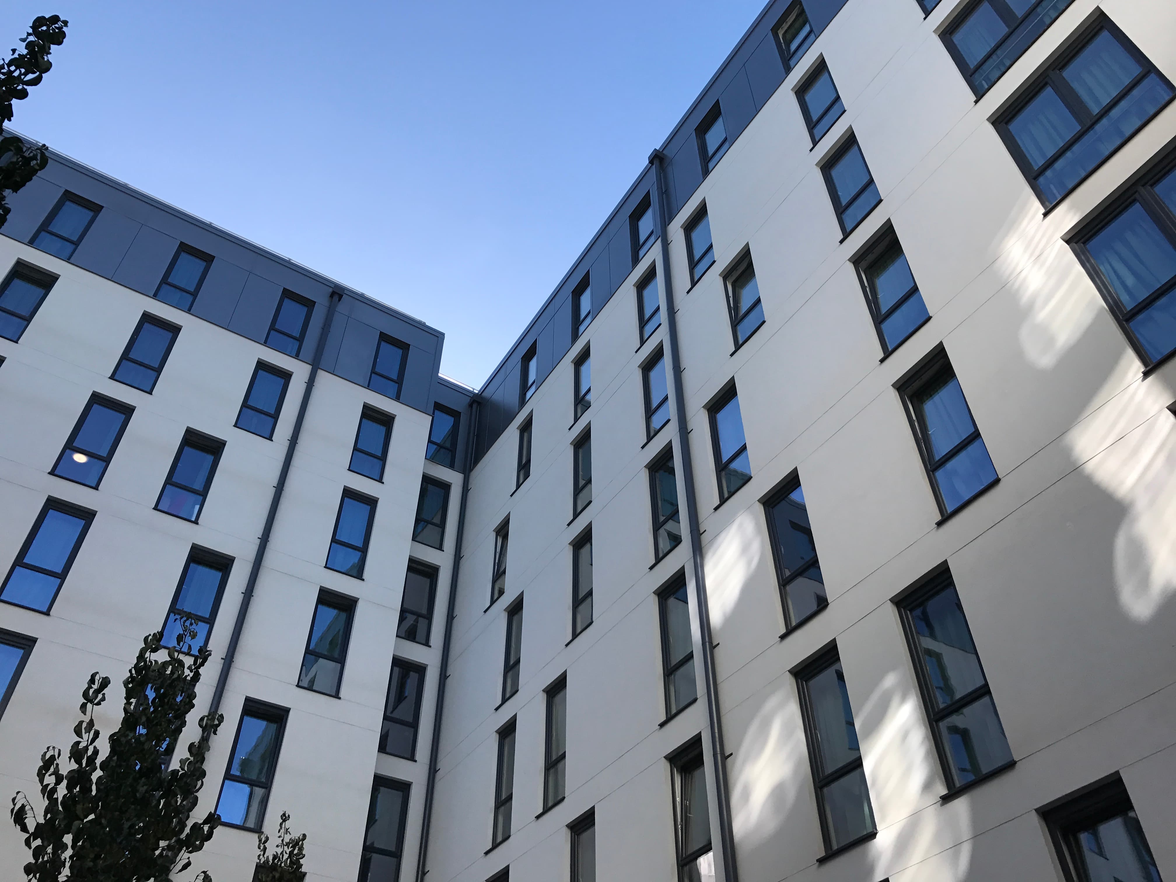 newly installed windows in a multistory building